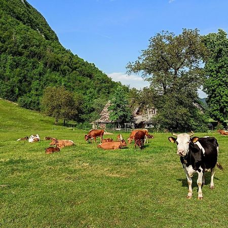 Charming Blacksmith'S House @ Lake Bohinj Buitenkant foto