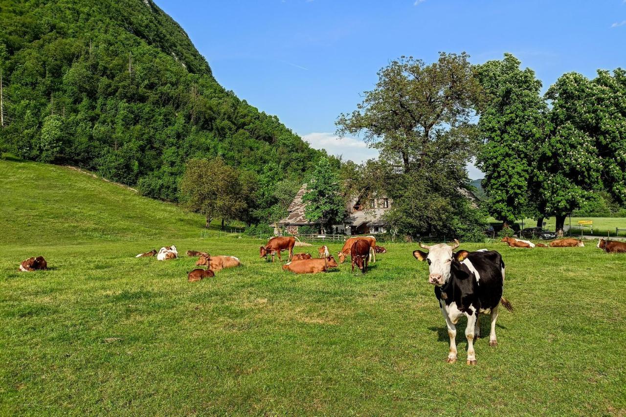 Charming Blacksmith'S House @ Lake Bohinj Buitenkant foto